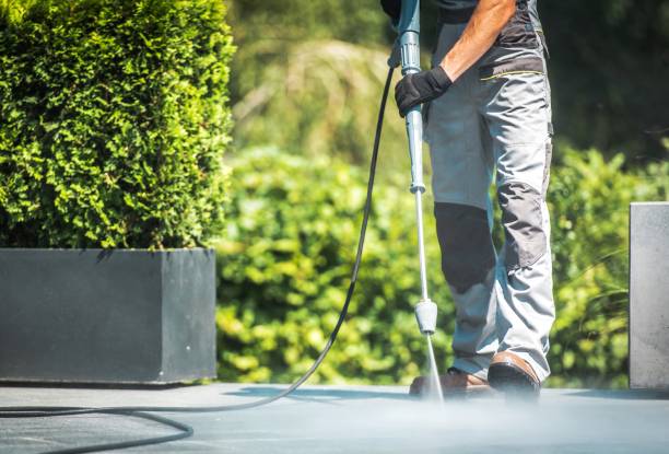 Best Post-Construction Pressure Washing  in Pecatonica, IL
