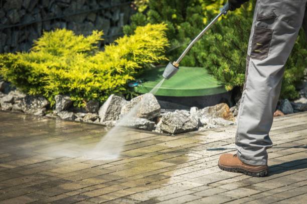 Best Solar Panel Cleaning  in Pecatonica, IL