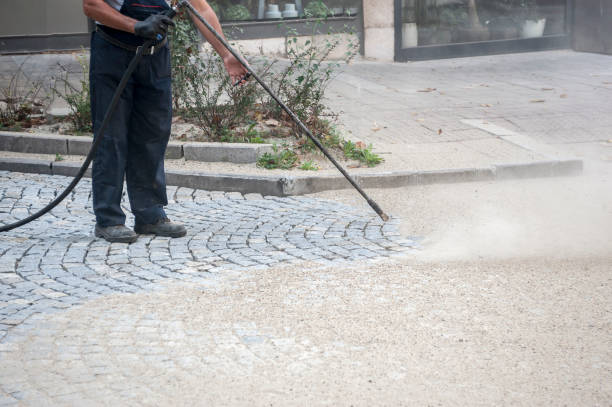 Best Parking Lot and Garage Cleaning  in Pecatonica, IL
