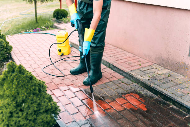 Best Gas Station Cleaning  in Pecatonica, IL